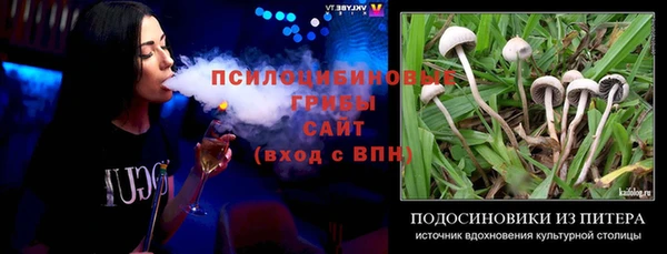 дмт Алексин