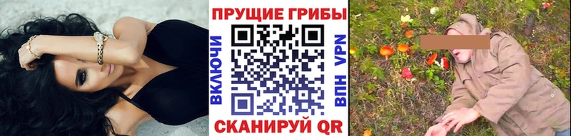 Галлюциногенные грибы Psilocybe наркотики Знаменск