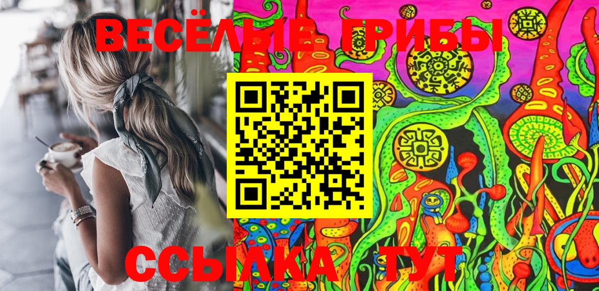 Галлюциногенные грибы Magic Shrooms Знаменск